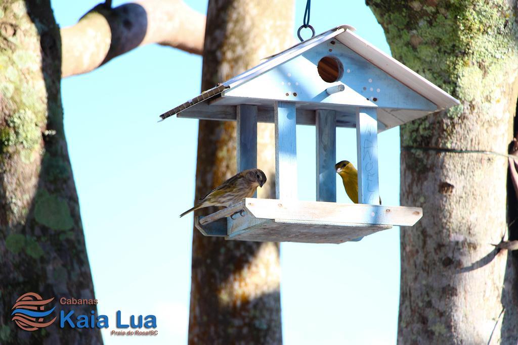 פראייה דו רוזה Pousada Cabanas Kaia Lua מראה חיצוני תמונה